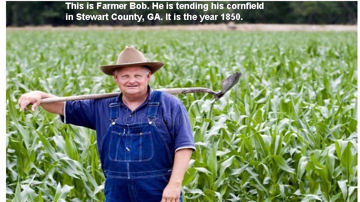 This is Farmer Bob. He is tending his cornfield in Stewart County, GA. It
