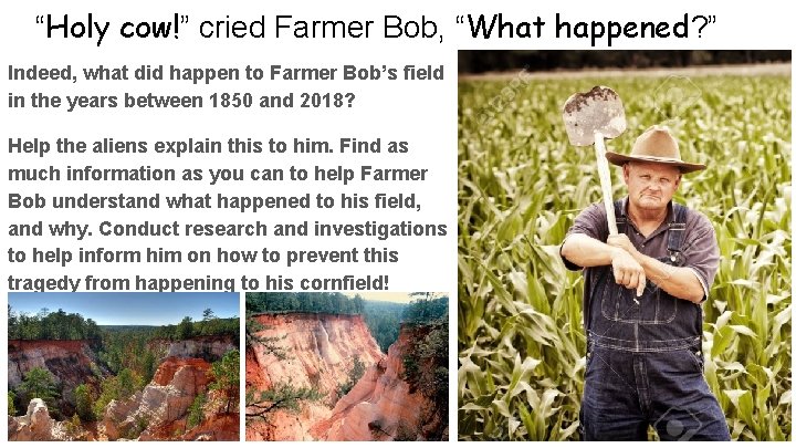 “Holy cow!” cried Farmer Bob, “What happened? ” Indeed, what did happen to Farmer