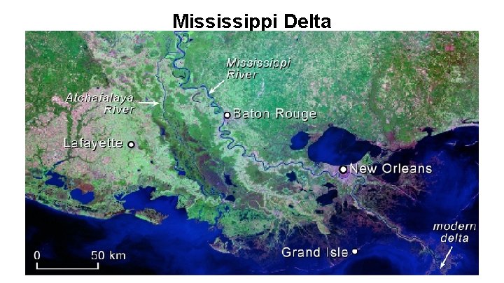 Mississippi Delta 