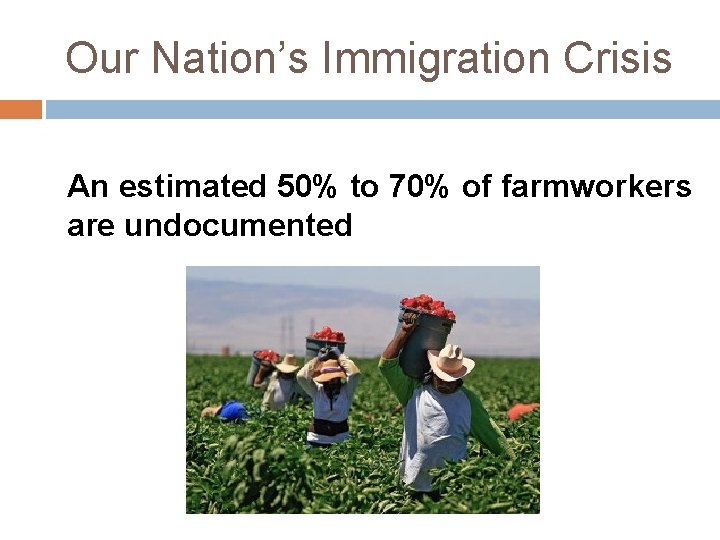 Our Nation’s Immigration Crisis An estimated 50% to 70% of farmworkers are undocumented 