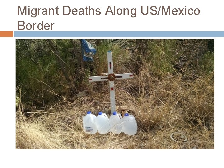 Migrant Deaths Along US/Mexico Border 