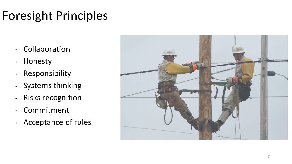 Foresight Principles • • Collaboration Honesty Responsibility Systems thinking Risks recognition Commitment Acceptance of