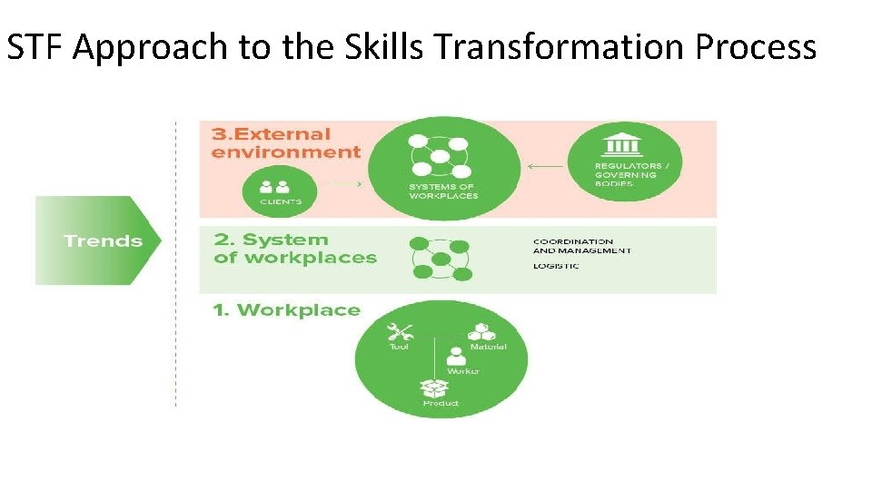 STF Approach to the Skills Transformation Process 