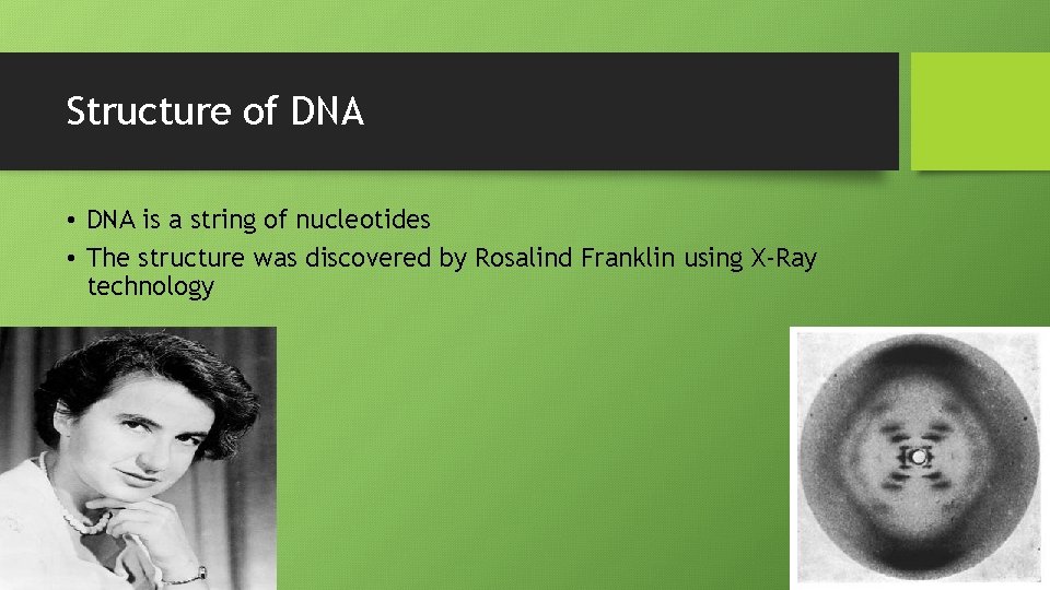 Structure of DNA • DNA is a string of nucleotides • The structure was