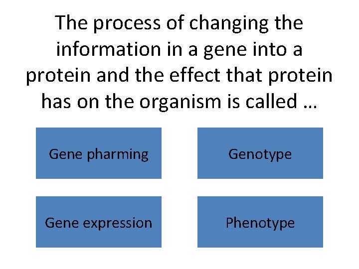 The process of changing the information in a gene into a protein and the