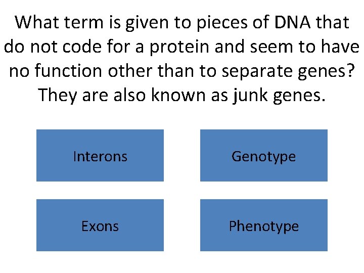 What term is given to pieces of DNA that do not code for a