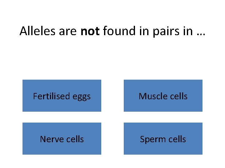 Alleles are not found in pairs in … Fertilised eggs Muscle cells Nerve cells