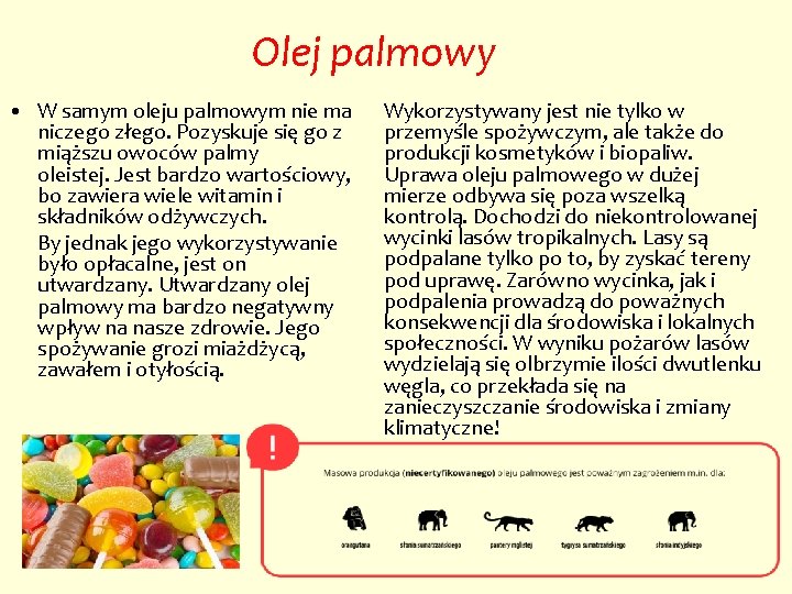 Olej palmowy • W samym oleju palmowym nie ma niczego złego. Pozyskuje się go