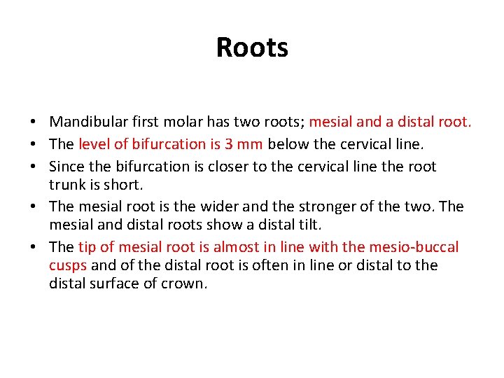 Roots • Mandibular first molar has two roots; mesial and a distal root. •