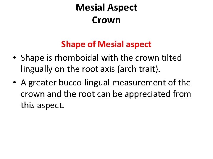 Mesial Aspect Crown Shape of Mesial aspect • Shape is rhomboidal with the crown