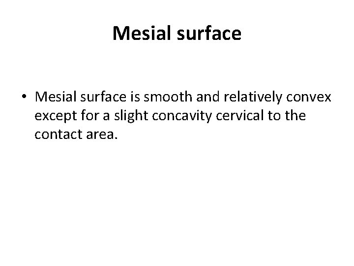 Mesial surface • Mesial surface is smooth and relatively convex except for a slight
