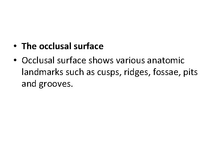  • The occlusal surface • Occlusal surface shows various anatomic landmarks such as