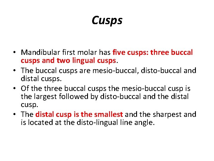 Cusps • Mandibular first molar has five cusps: three buccal cusps and two lingual