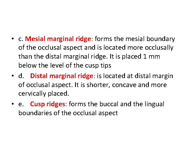  • c. Mesial marginal ridge: forms the mesial boundary of the occlusal aspect