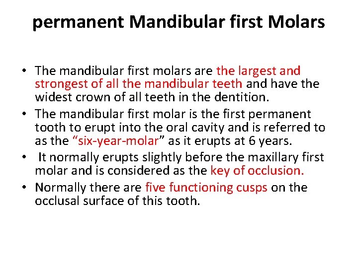 permanent Mandibular first Molars • The mandibular first molars are the largest and strongest