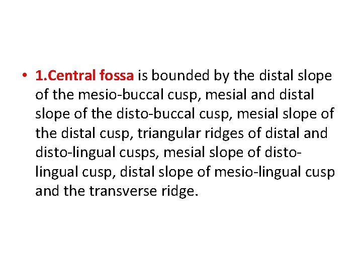  • 1. Central fossa is bounded by the distal slope of the mesio-buccal