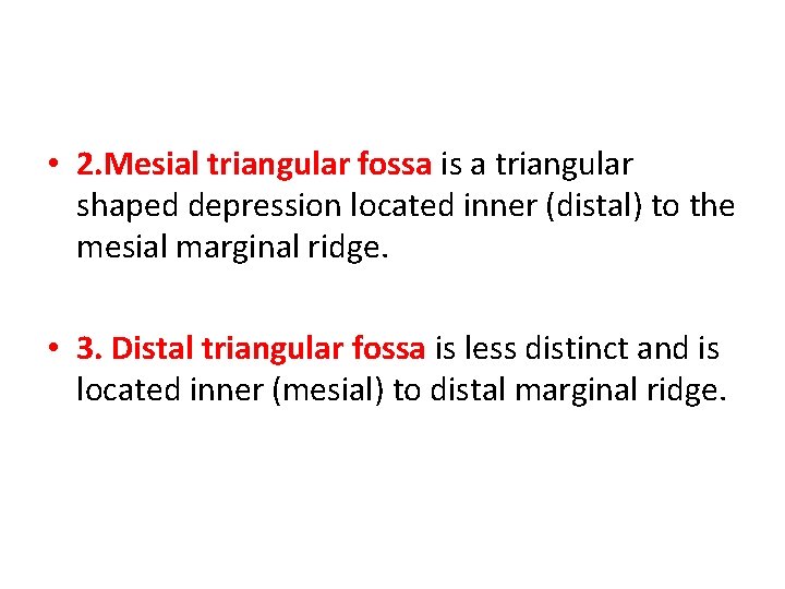  • 2. Mesial triangular fossa is a triangular shaped depression located inner (distal)
