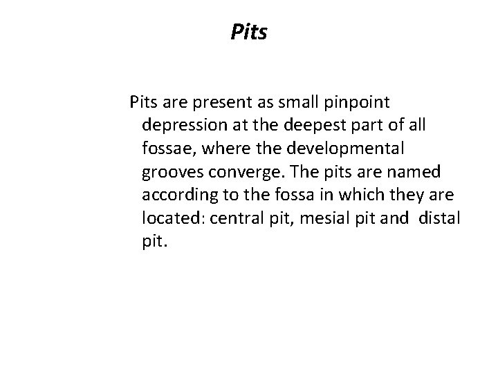 Pits are present as small pinpoint depression at the deepest part of all fossae,