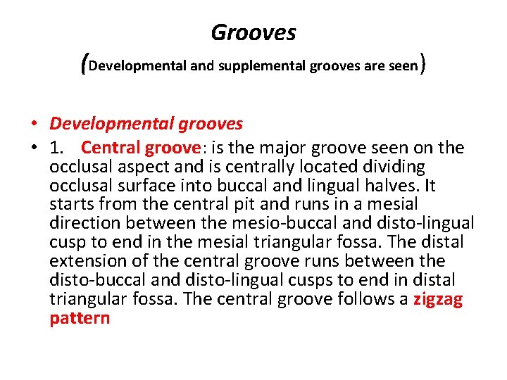 Grooves (Developmental and supplemental grooves are seen) • Developmental grooves • 1. Central groove: