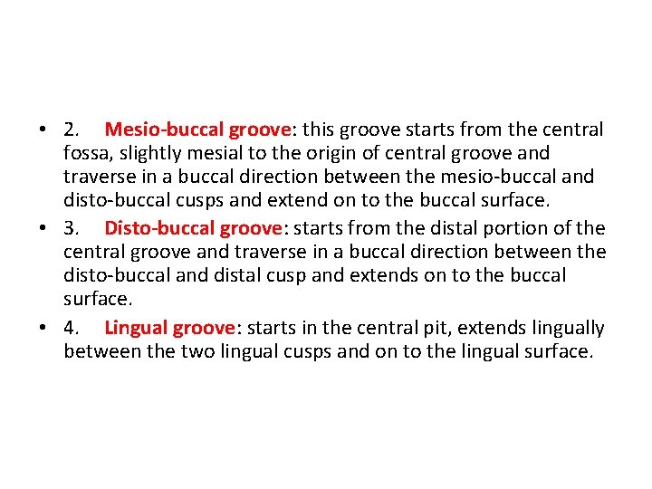  • 2. Mesio-buccal groove: this groove starts from the central fossa, slightly mesial