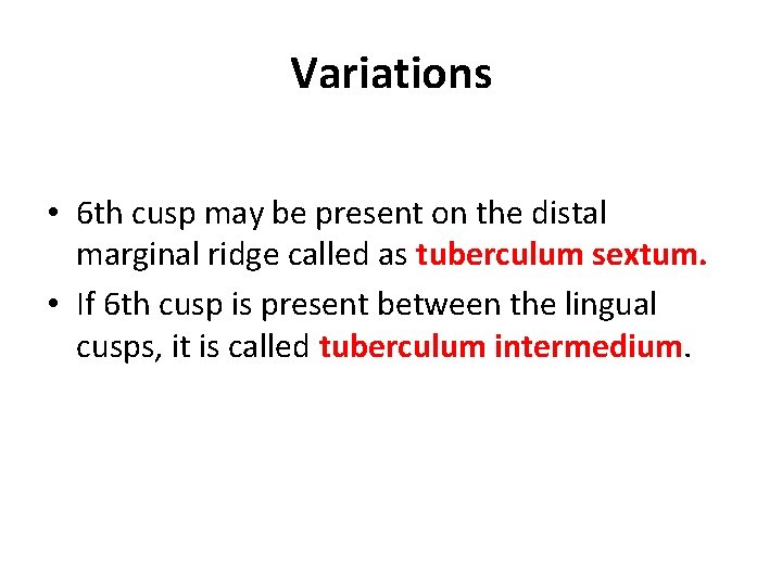 Variations • 6 th cusp may be present on the distal marginal ridge called