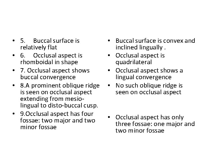  • 5. Buccal surface is relatively flat • 6. Occlusal aspect is rhomboidal