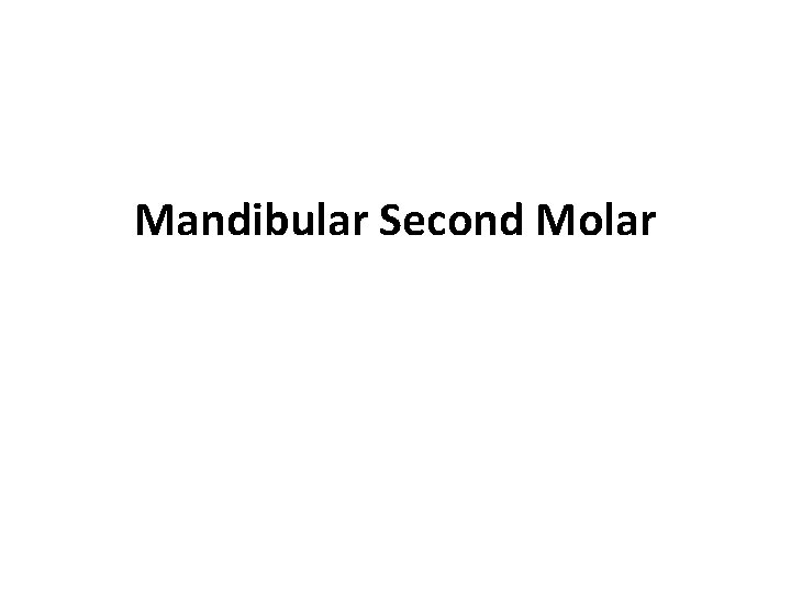 Mandibular Second Molar 