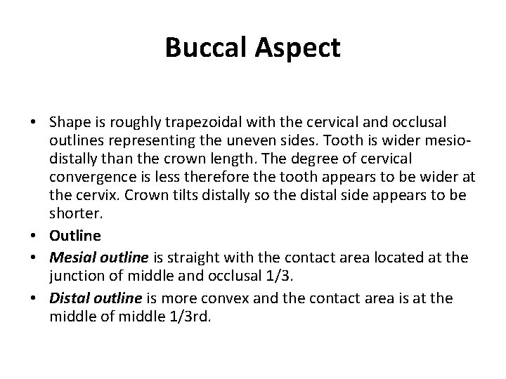 Buccal Aspect • Shape is roughly trapezoidal with the cervical and occlusal outlines representing