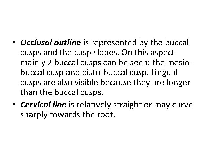  • Occlusal outline is represented by the buccal cusps and the cusp slopes.