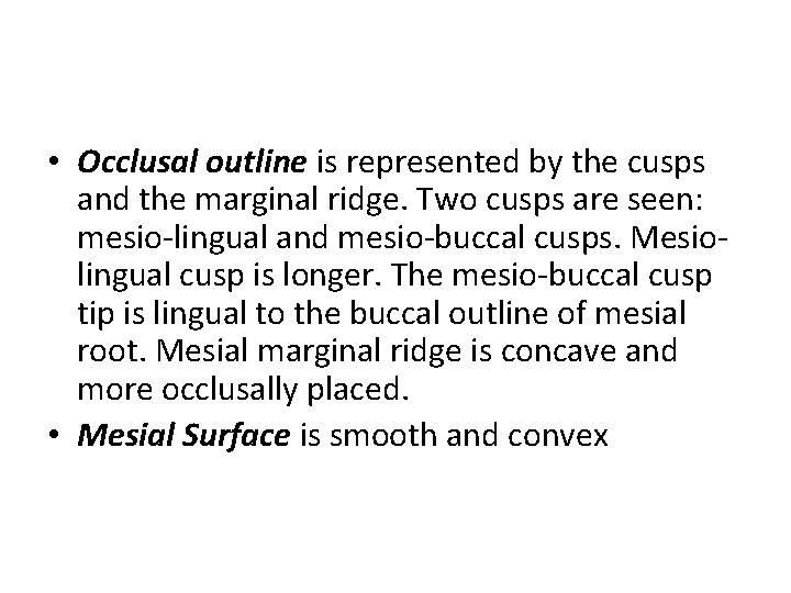  • Occlusal outline is represented by the cusps and the marginal ridge. Two