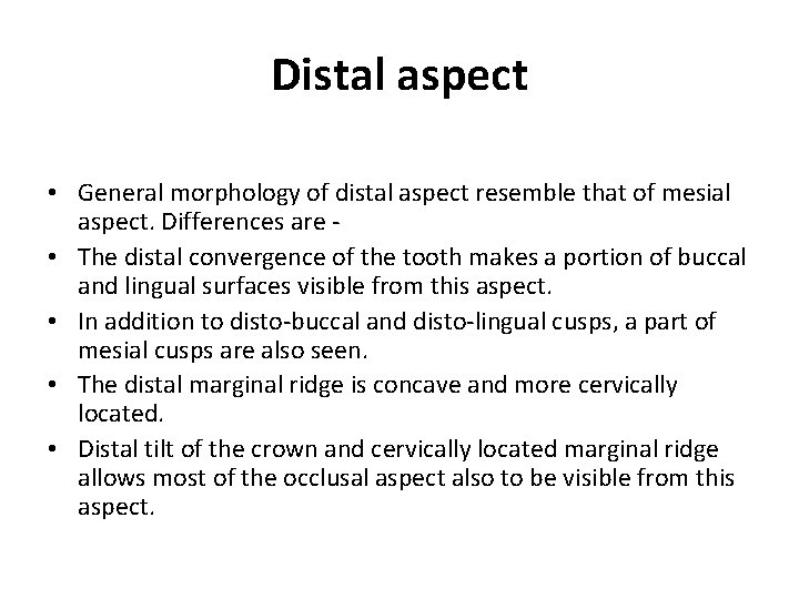 Distal aspect • General morphology of distal aspect resemble that of mesial aspect. Differences