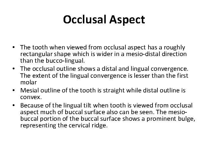 Occlusal Aspect • The tooth when viewed from occlusal aspect has a roughly rectangular