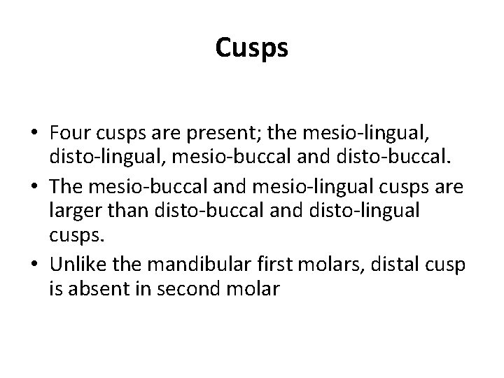 Cusps • Four cusps are present; the mesio-lingual, disto-lingual, mesio-buccal and disto-buccal. • The