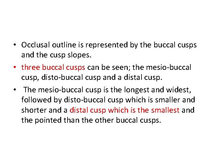  • Occlusal outline is represented by the buccal cusps and the cusp slopes.