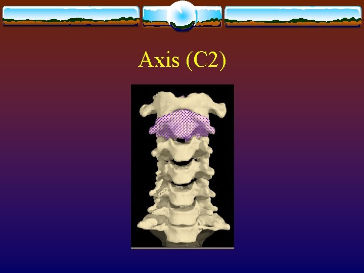 Axis (C 2) Axis (C 2)