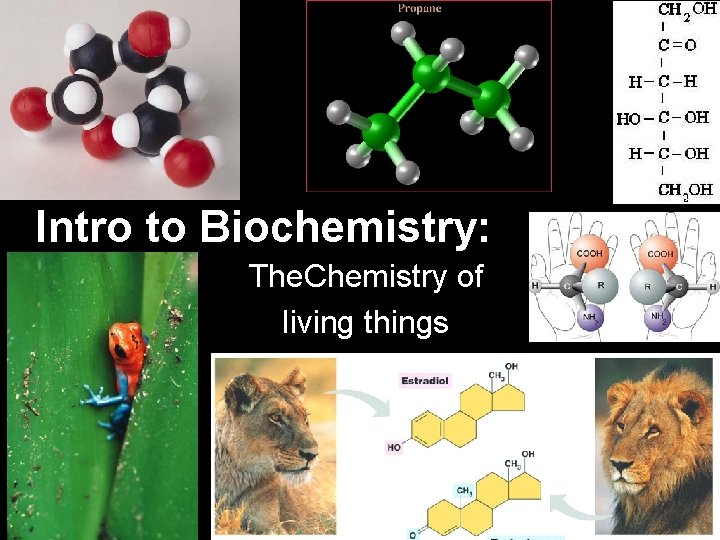 Intro to Biochemistry: The. Chemistry of living things 