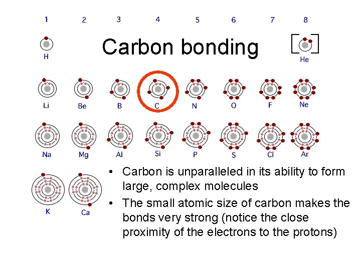 Carbon bonding • Carbon is unparalleled in its ability to form large, complex molecules