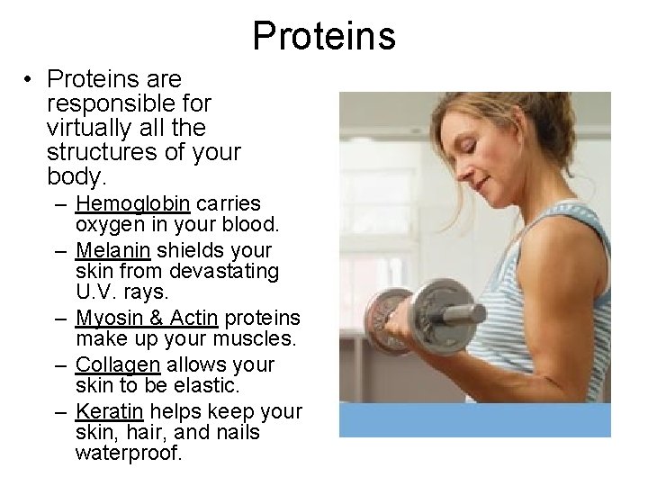 Proteins • Proteins are responsible for virtually all the structures of your body. –