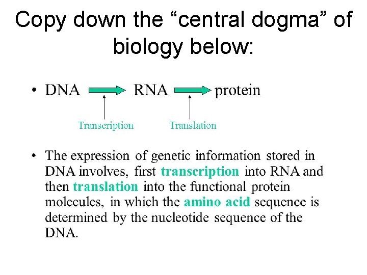 Copy down the “central dogma” of biology below: 