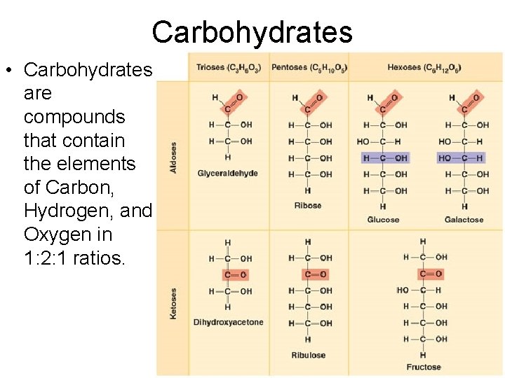 Carbohydrates • Carbohydrates are compounds that contain the elements of Carbon, Hydrogen, and Oxygen