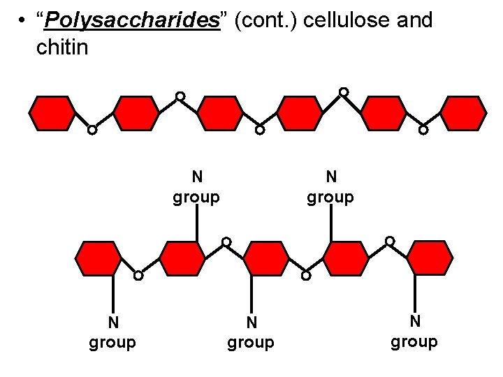  • “Polysaccharides” (cont. ) cellulose and chitin N group N group 