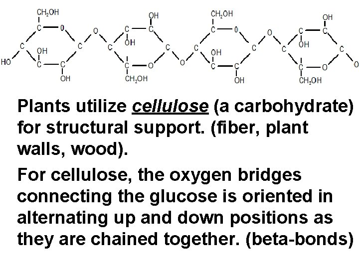 Plants utilize cellulose (a carbohydrate) for structural support. (fiber, plant walls, wood). For cellulose,
