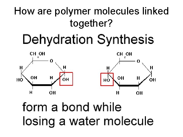 How are polymer molecules linked together? 