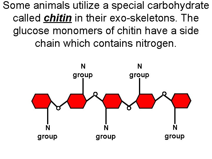 Some animals utilize a special carbohydrate called chitin in their exo-skeletons. The glucose monomers