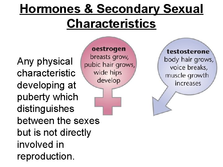 Hormones & Secondary Sexual Characteristics Any physical characteristic developing at puberty which distinguishes between