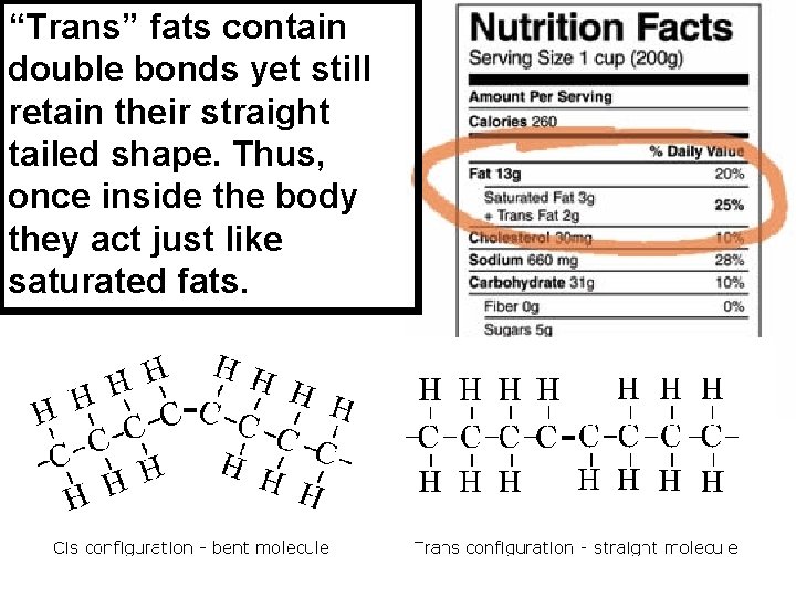 “Trans” fats contain double bonds yet still retain their straight tailed shape. Thus, once
