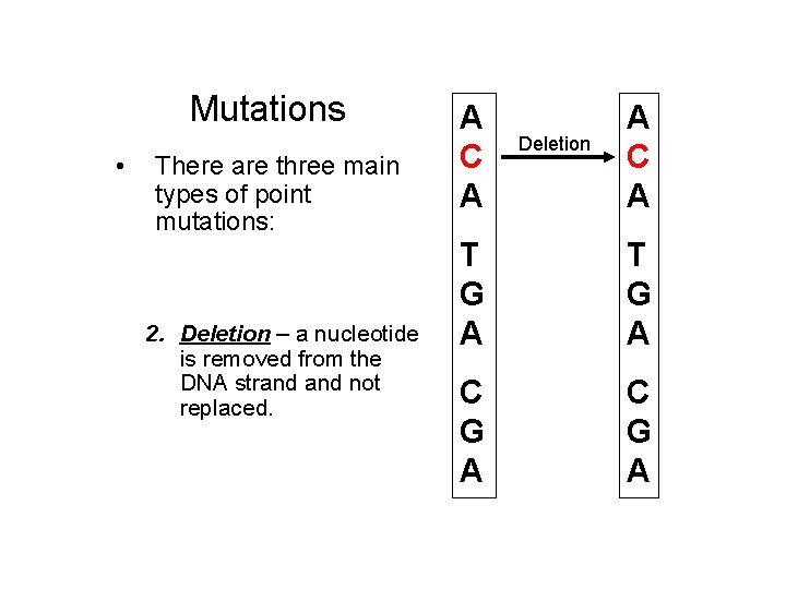 Mutations • There are three main types of point mutations: 1. Substitution – one