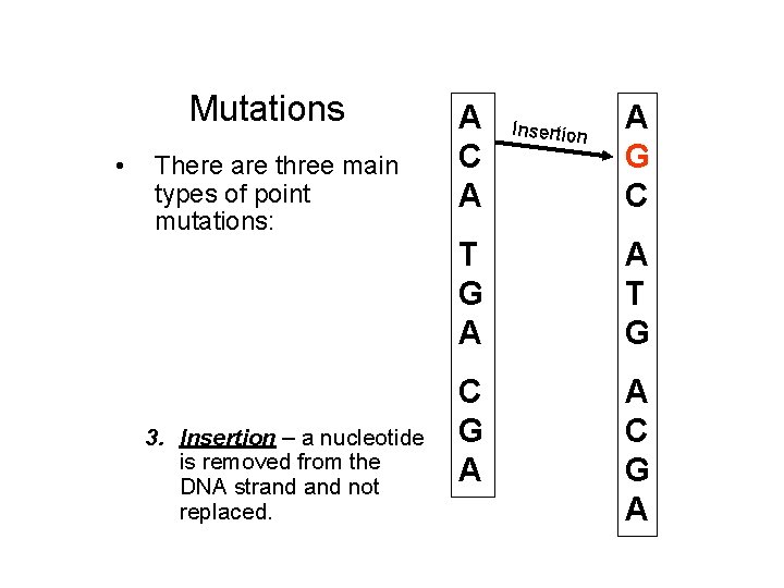 Mutations • There are three main types of point mutations: 1. Substitution – one