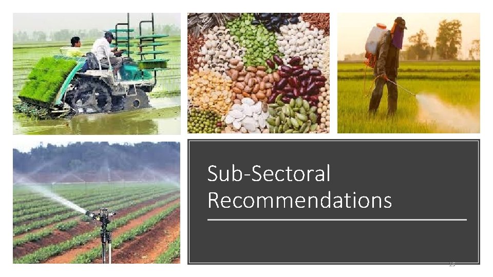Sub-Sectoral Recommendations 15 