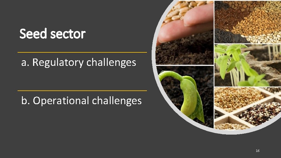 Seed sector a. Regulatory challenges b. Operational challenges 16 